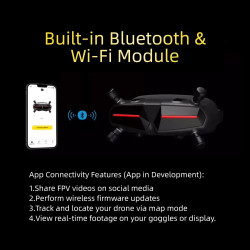 Walksnail Avatar HD Goggles X – 1080p FPV Goggles HDMI AV IN