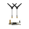 Analogowy odbiornik Flywoo do long-range