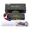 Gens ace G-Tech 5300mAh 2S 100C LiPo EC5 - Bashing do Losi Promoto-MX