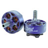 Silnik RCINPOWER Wasp Major EVO 22.6-6.6 2160KV | Sklep FPV Avifly