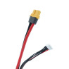 Akumulator Li-ion Avifly 6S 3100mAh XT60 | Avifly