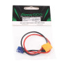Adapter Gens ace XT60 Female EC2 Male | Avifly