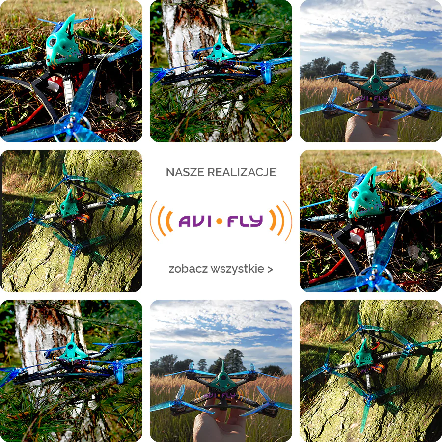 Realizacje Avifly